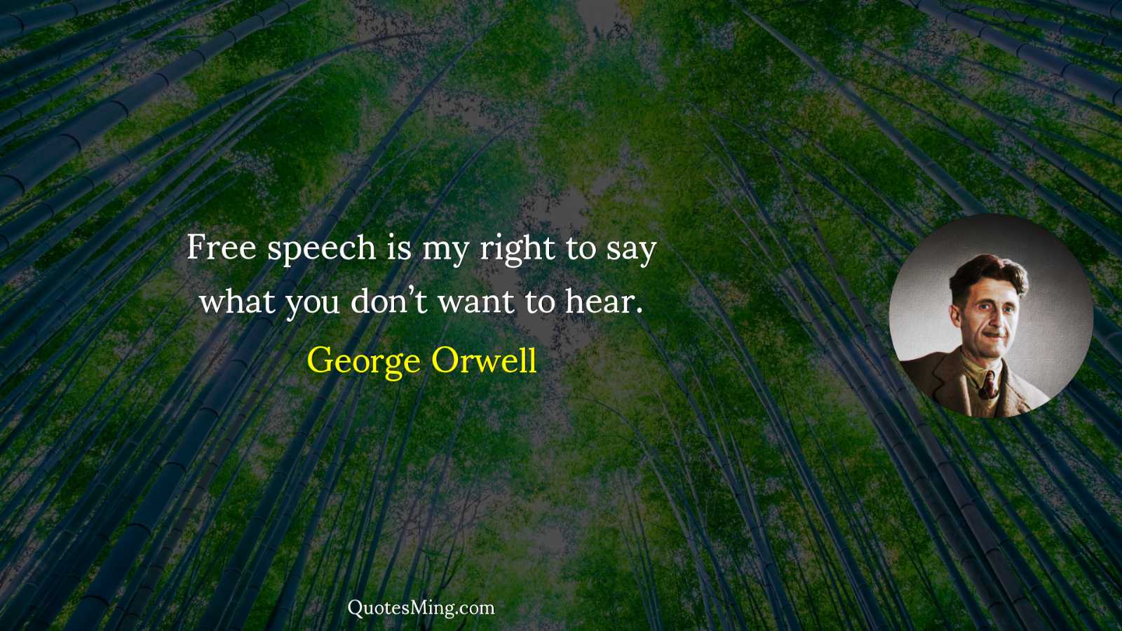 Free speech is my right to say what you don’t