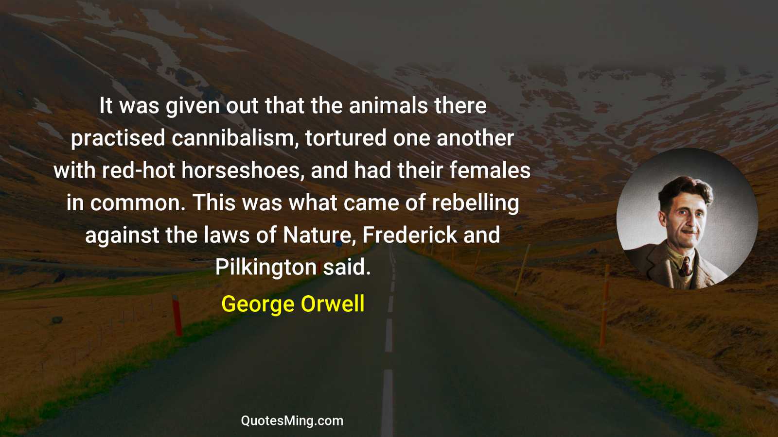 It was given out that the animals there practised cannibalism