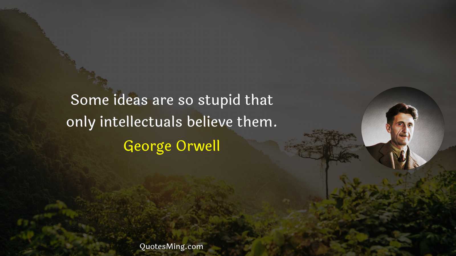 Some ideas are so stupid that only intellectuals believe them