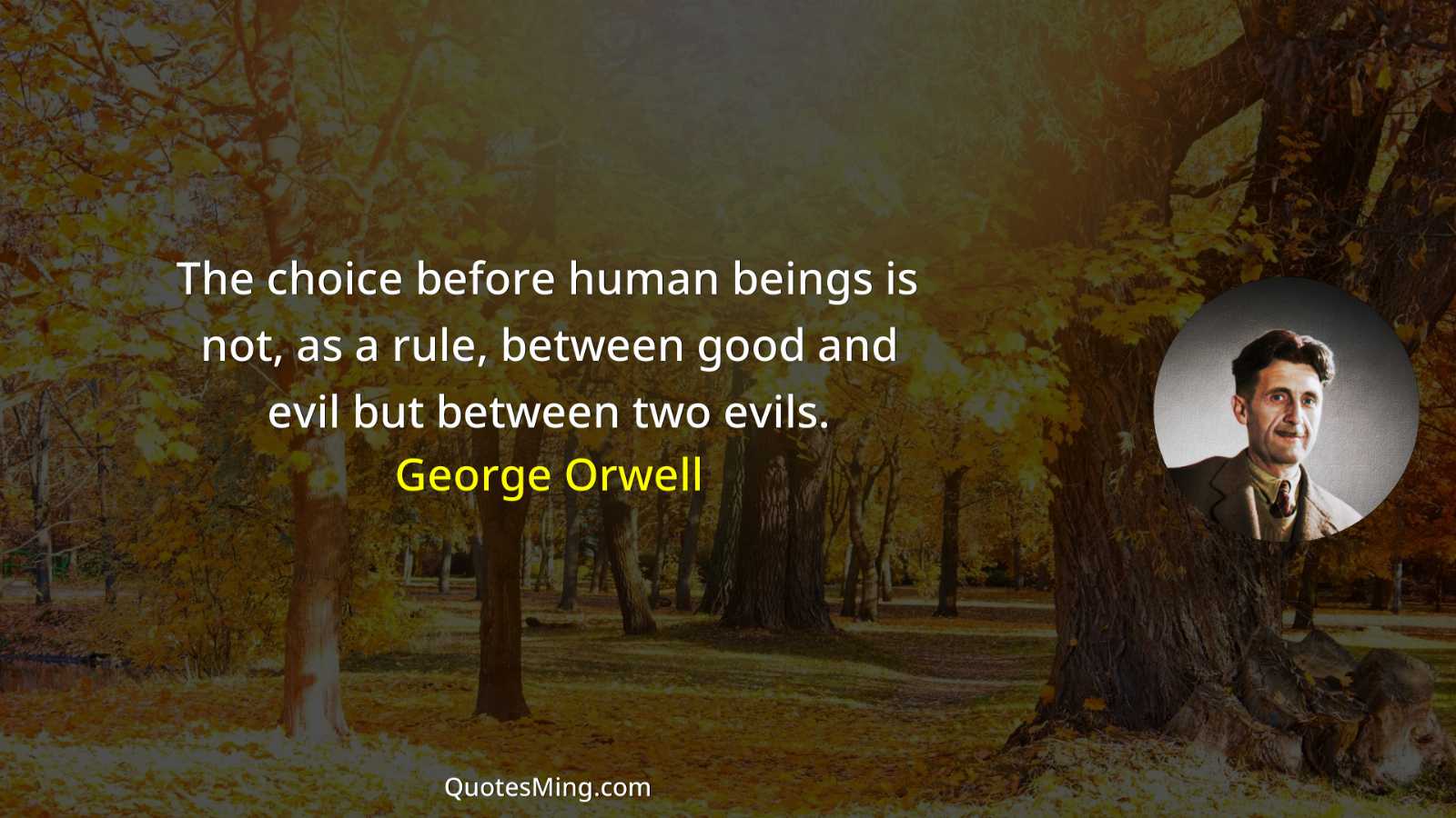 The choice before human beings is not as a rule