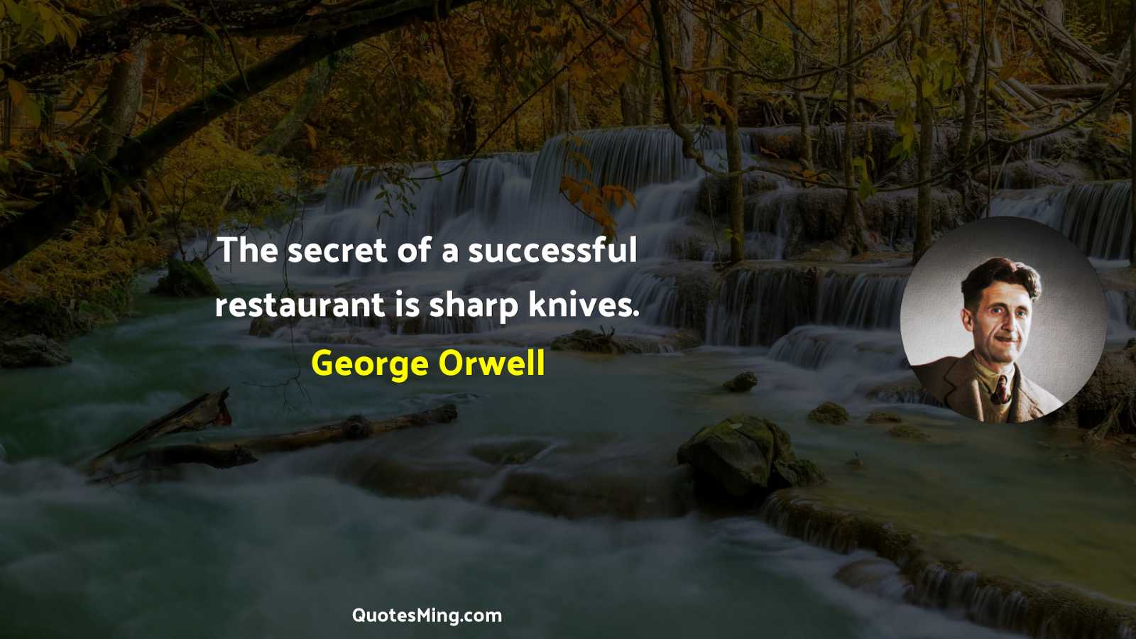 The secret of a successful restaurant is sharp knives