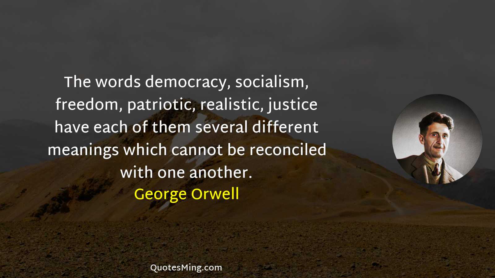 The words democracy socialism freedom patriotic realistic justice have each