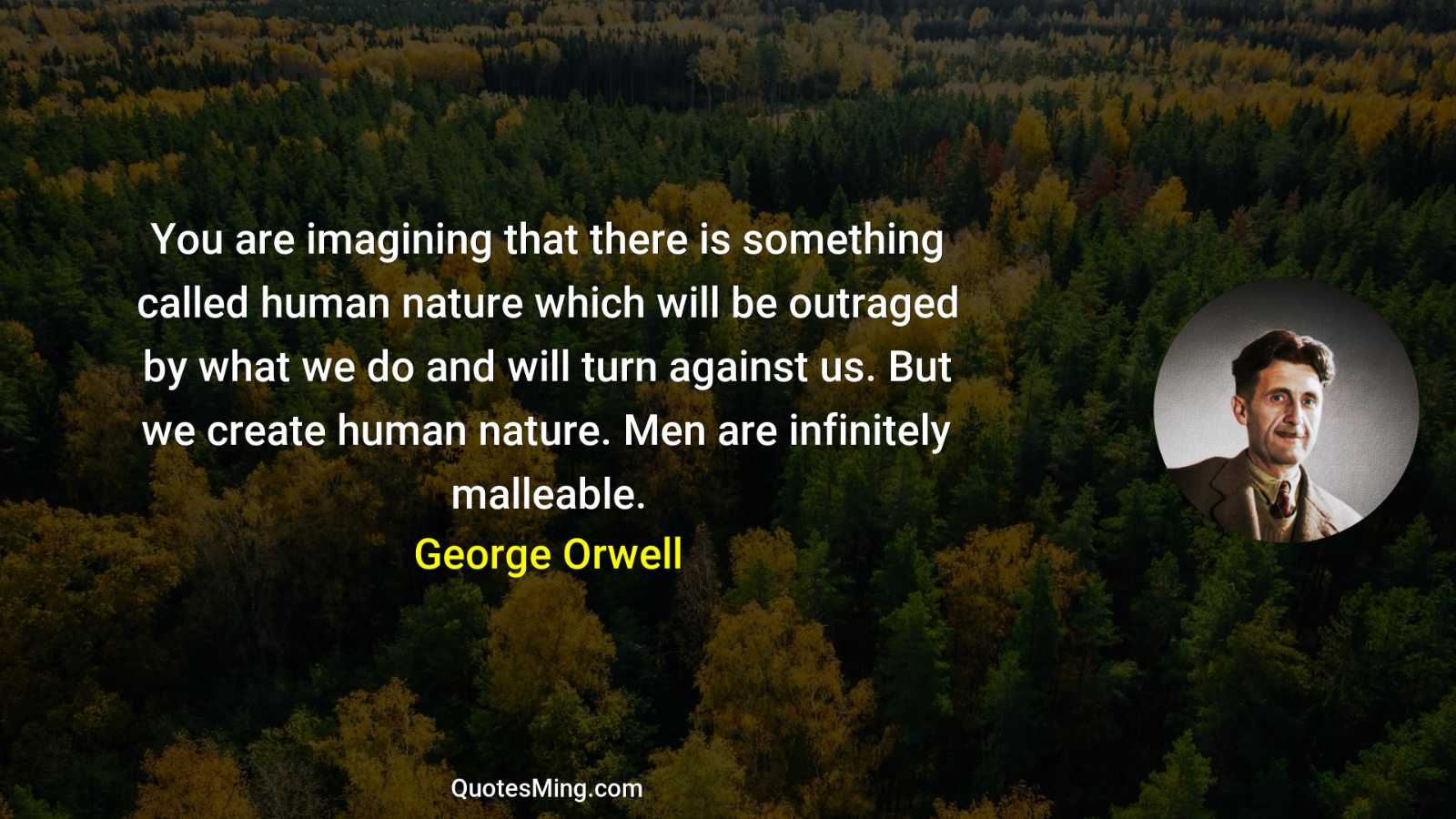 You are imagining that there is something called human nature