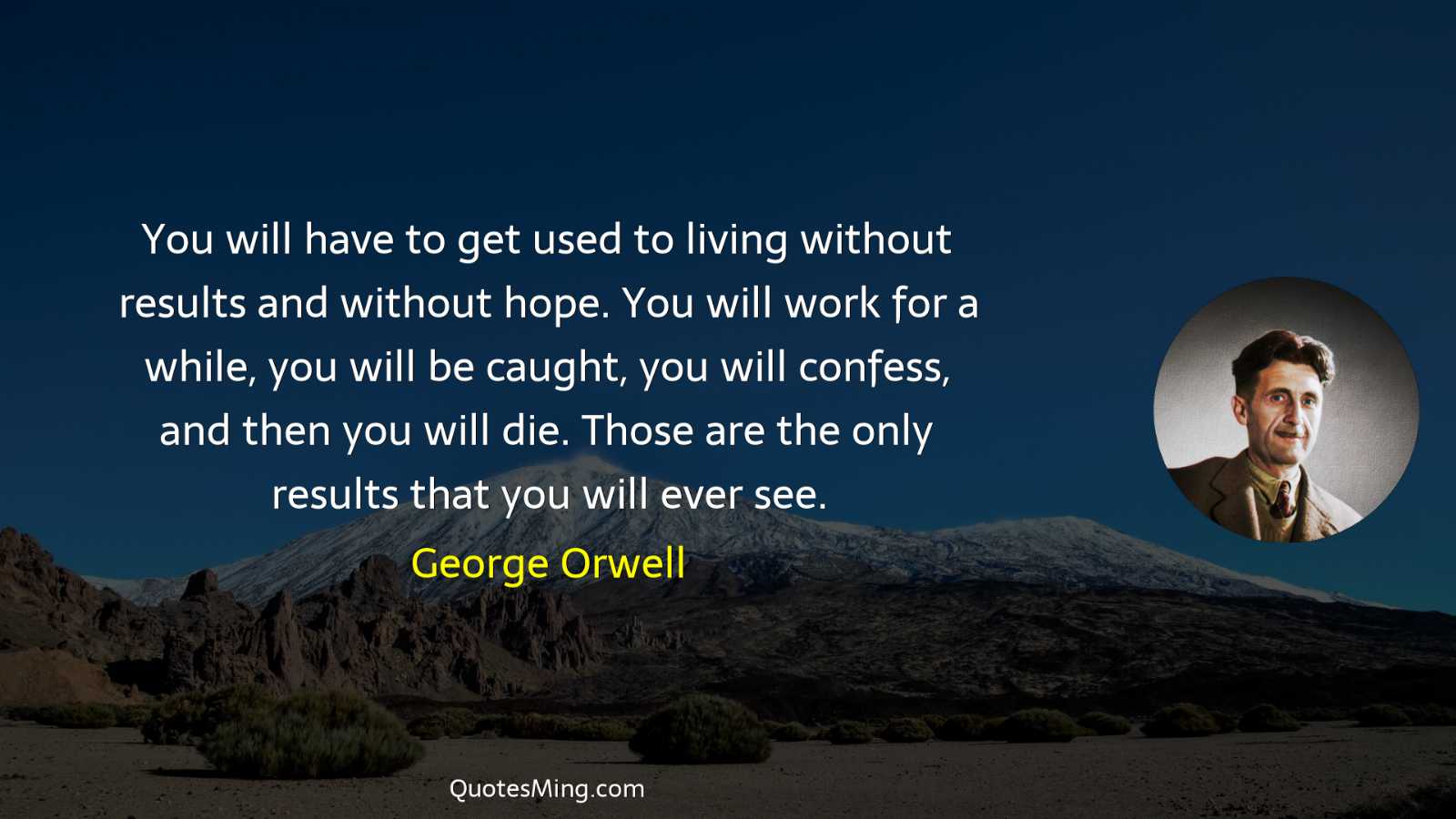 You will have to get used to living without results