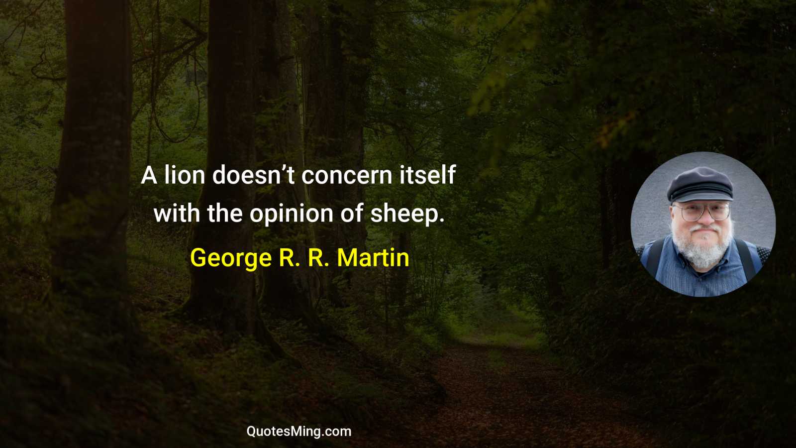 A lion doesn’t concern itself with the opinion of sheep