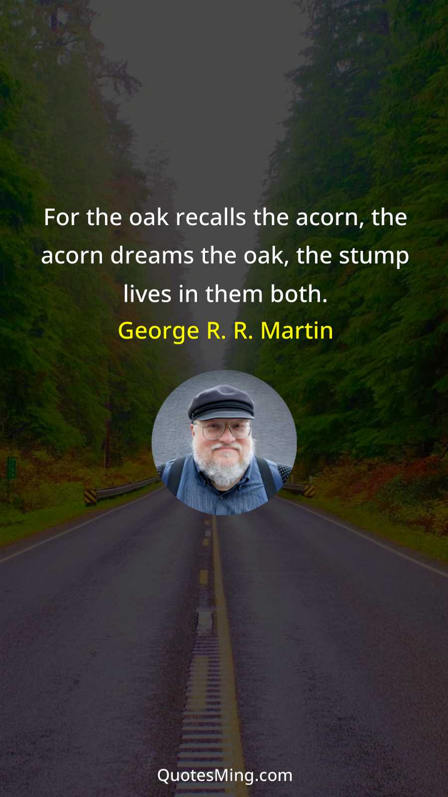 For the oak recalls the acorn the acorn dreams the