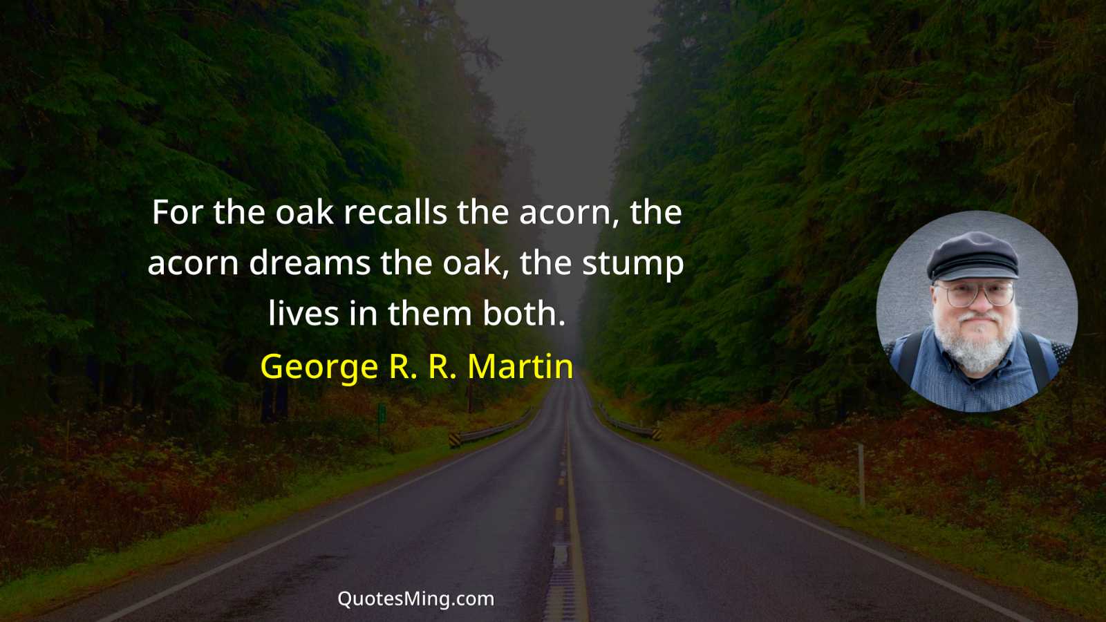 For the oak recalls the acorn the acorn dreams the