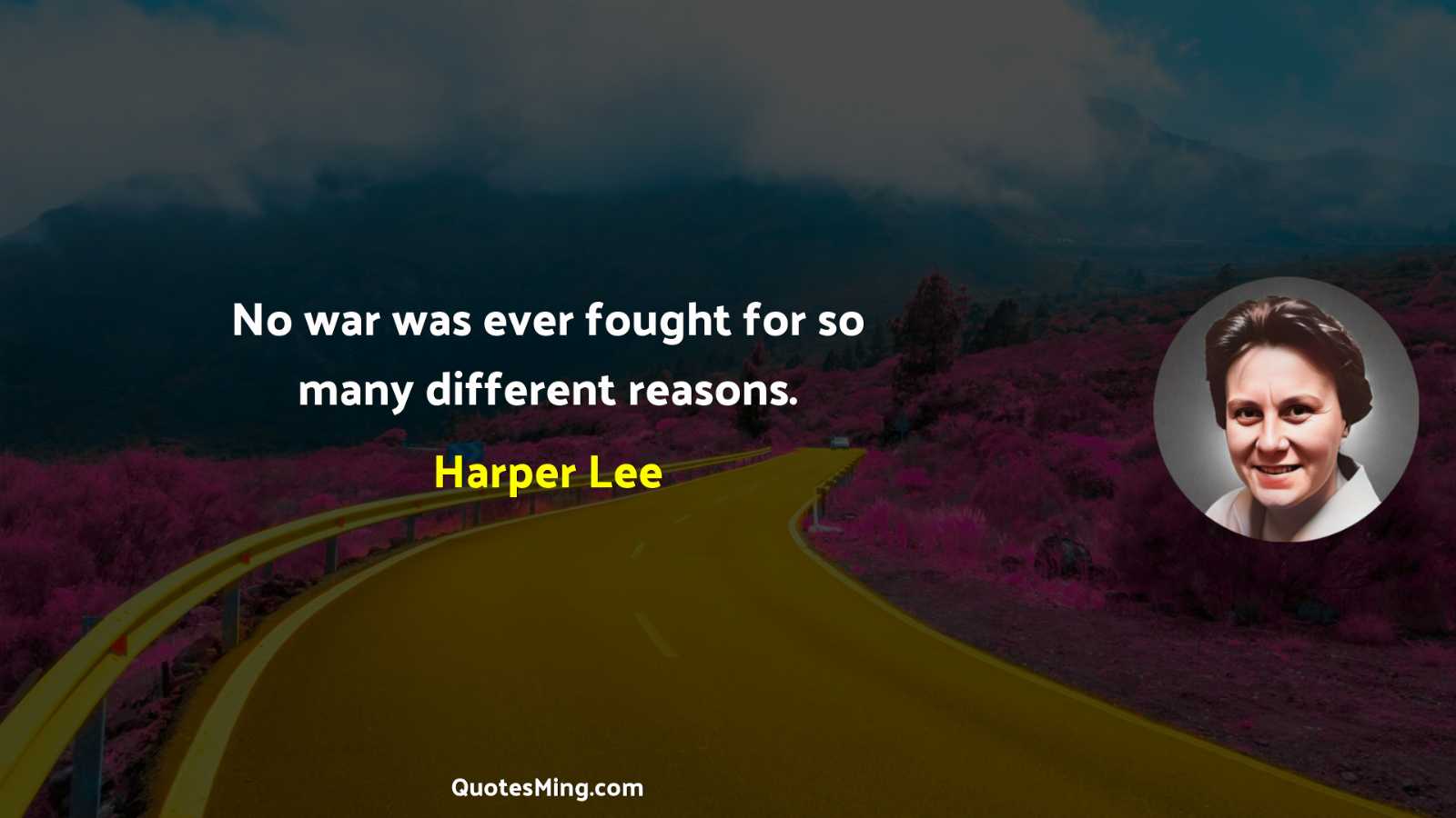 No war was ever fought for so many different reasons