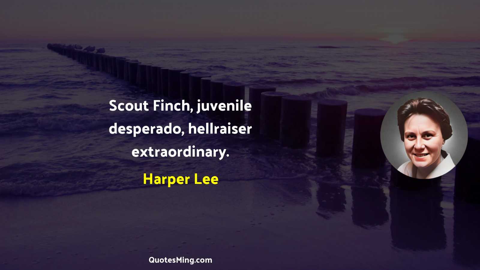 Scout Finch juvenile desperado hellraiser extraordinary