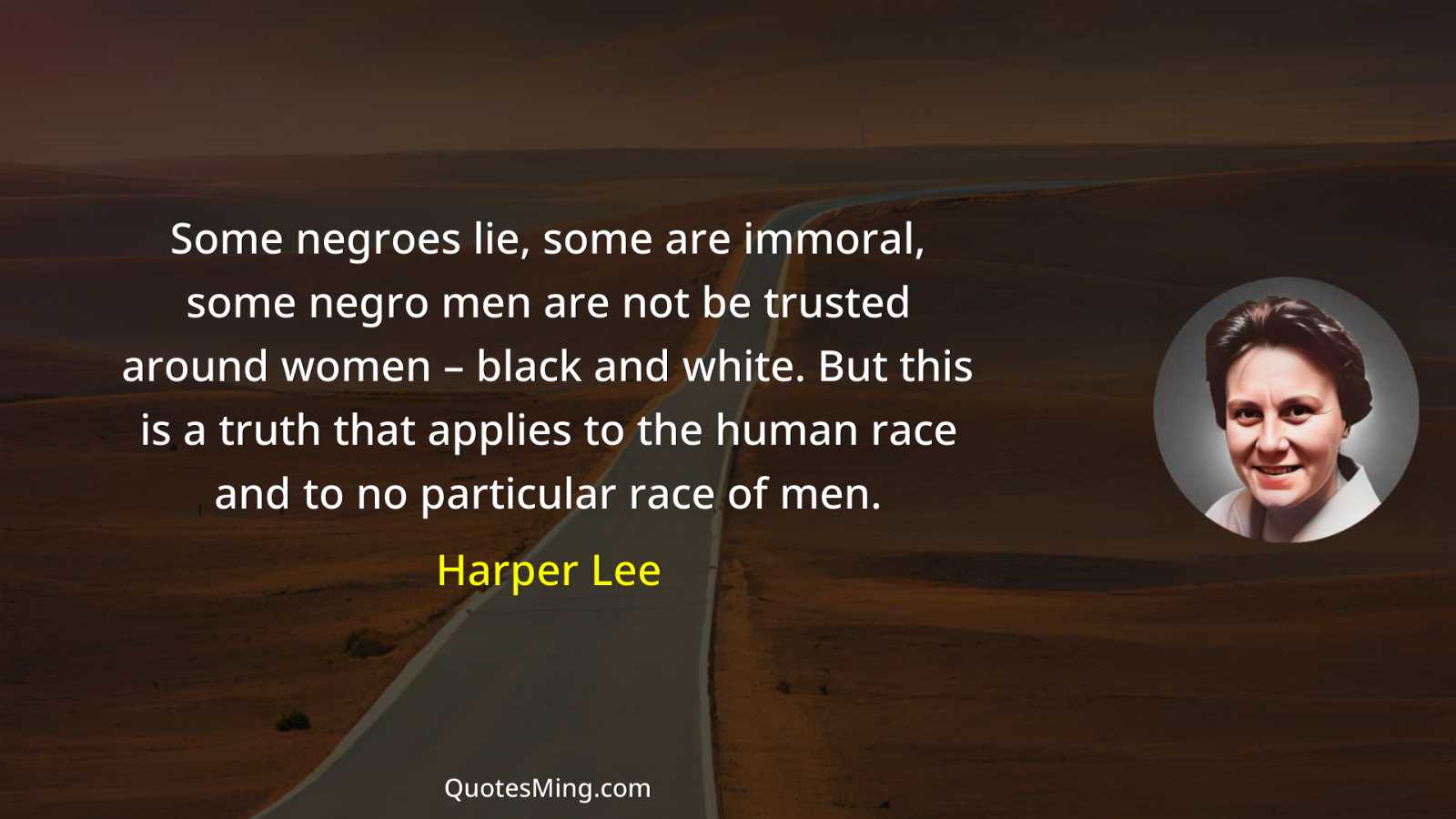 Some negroes lie some are immoral some negro men are