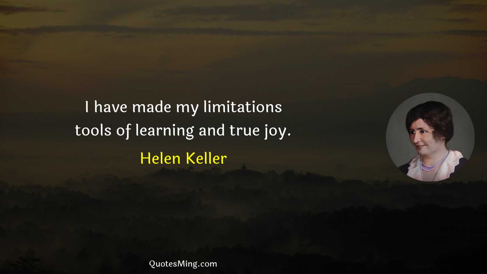 I have made my limitations tools of learning and true