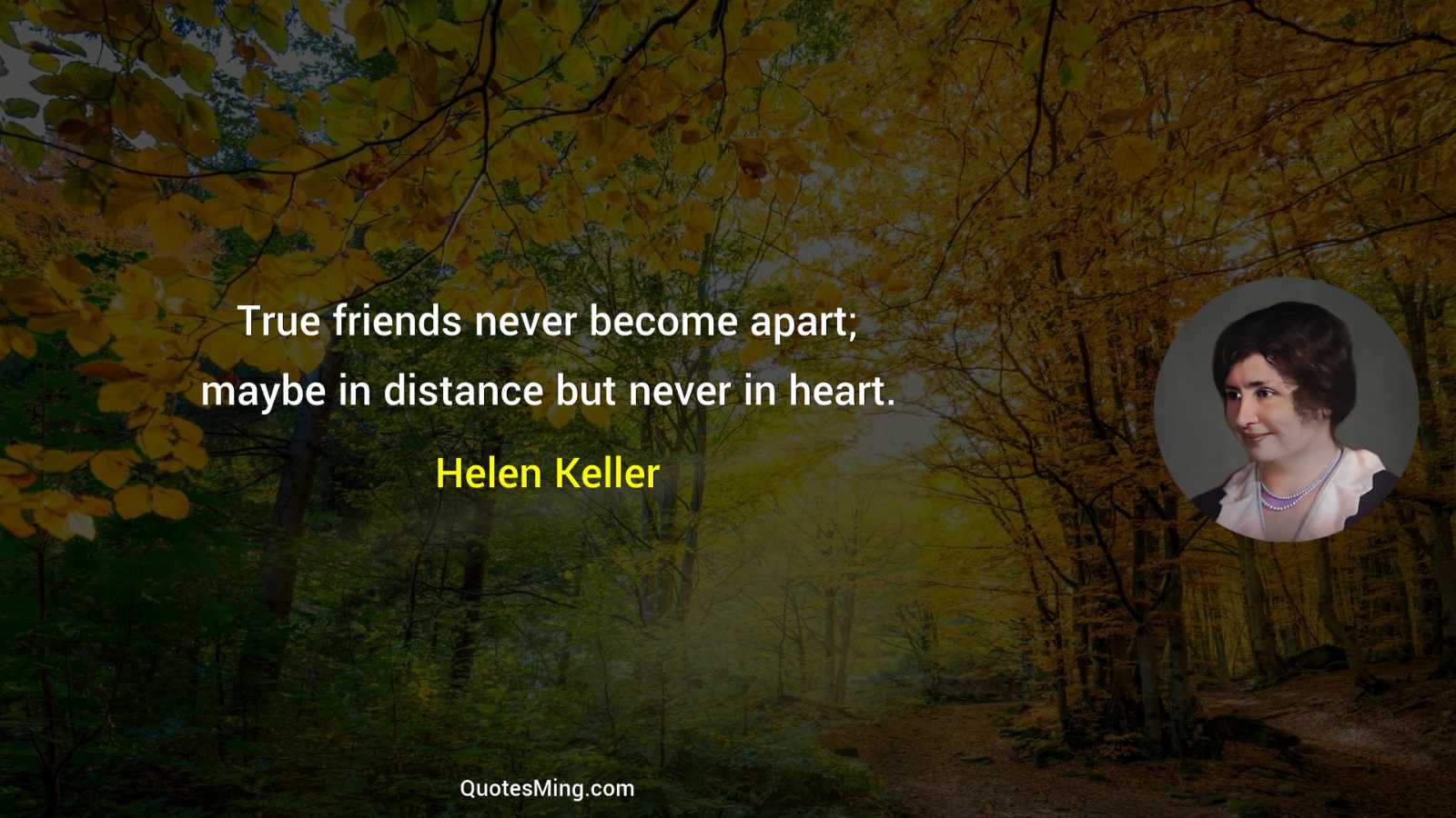 True friends never become apart; maybe in distance but never