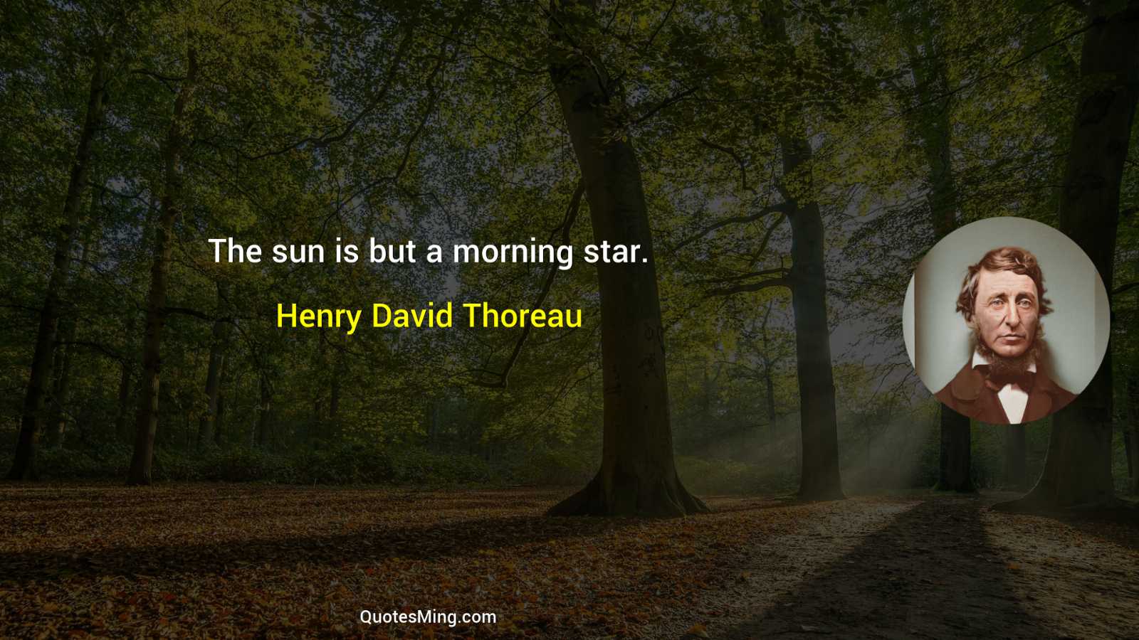 The sun is but a morning star