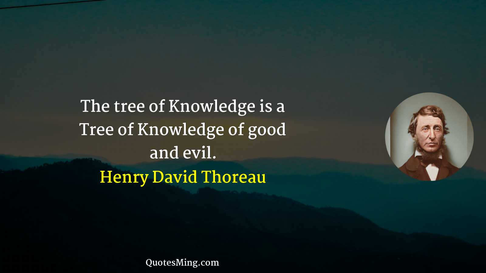 The tree of Knowledge is a Tree of Knowledge of