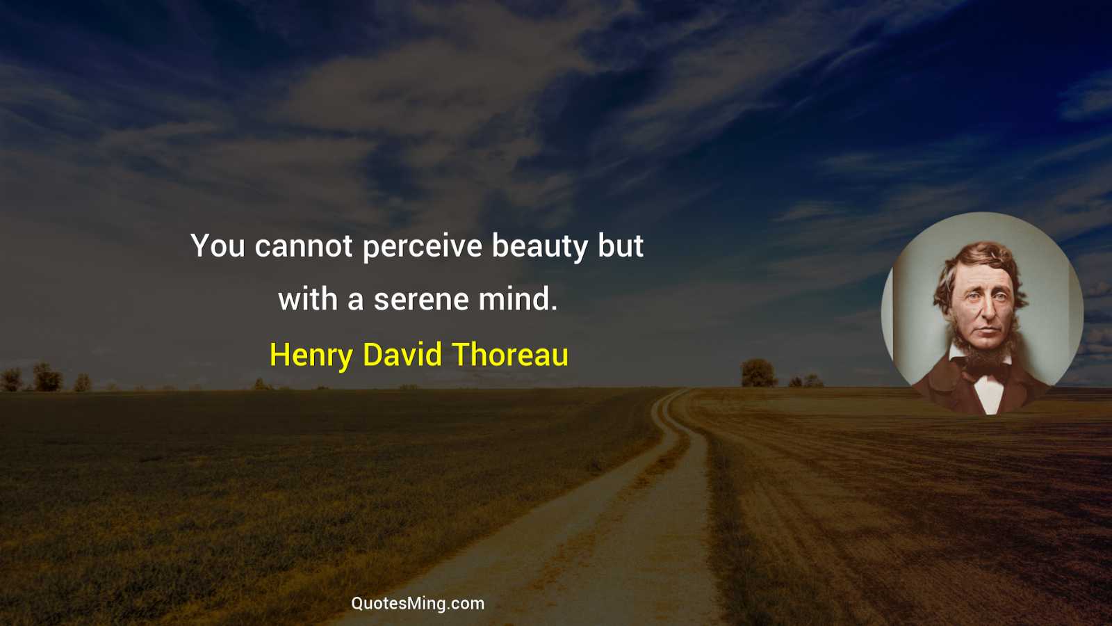 You cannot perceive beauty but with a serene mind