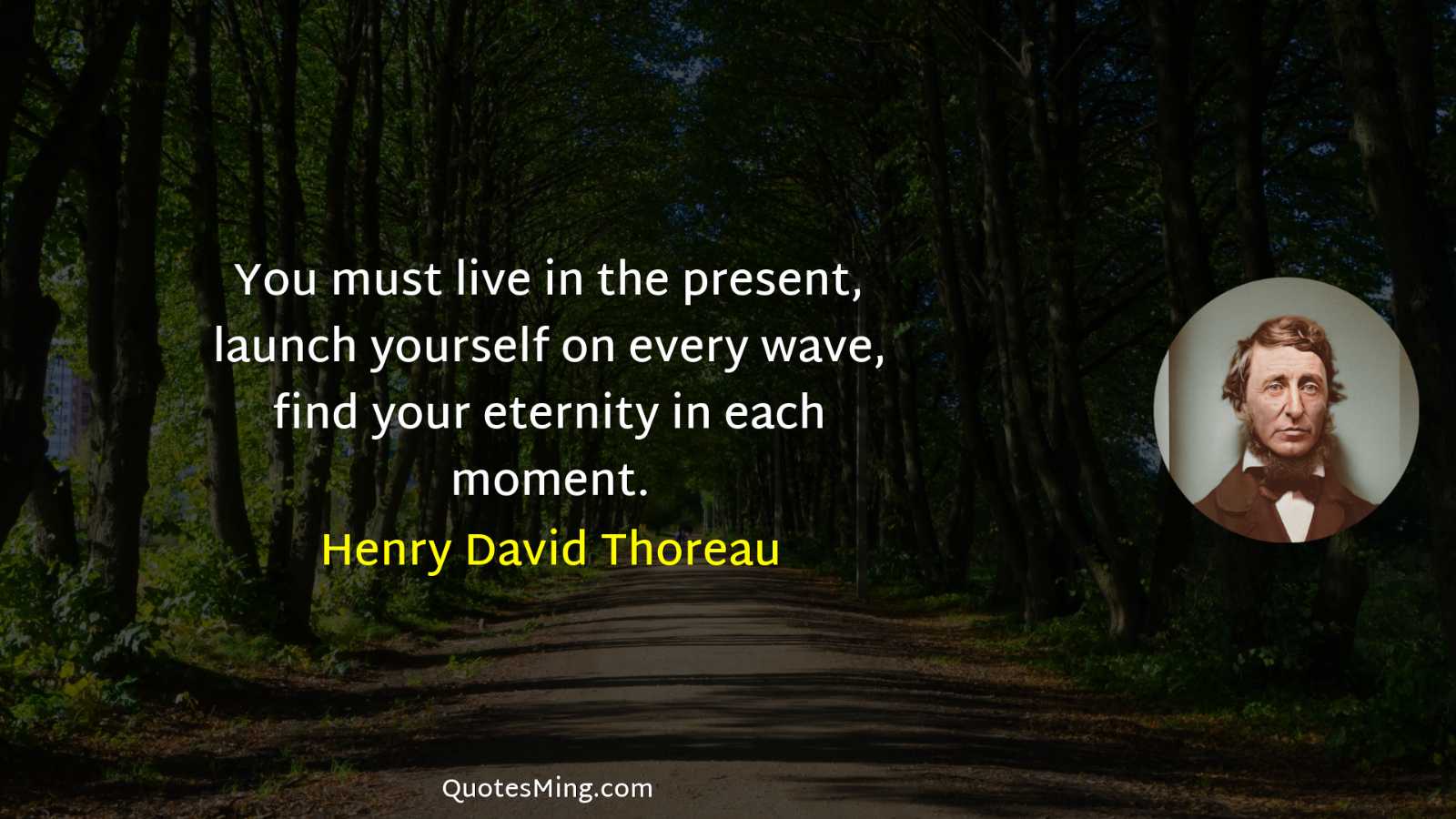 You must live in the present launch yourself on every