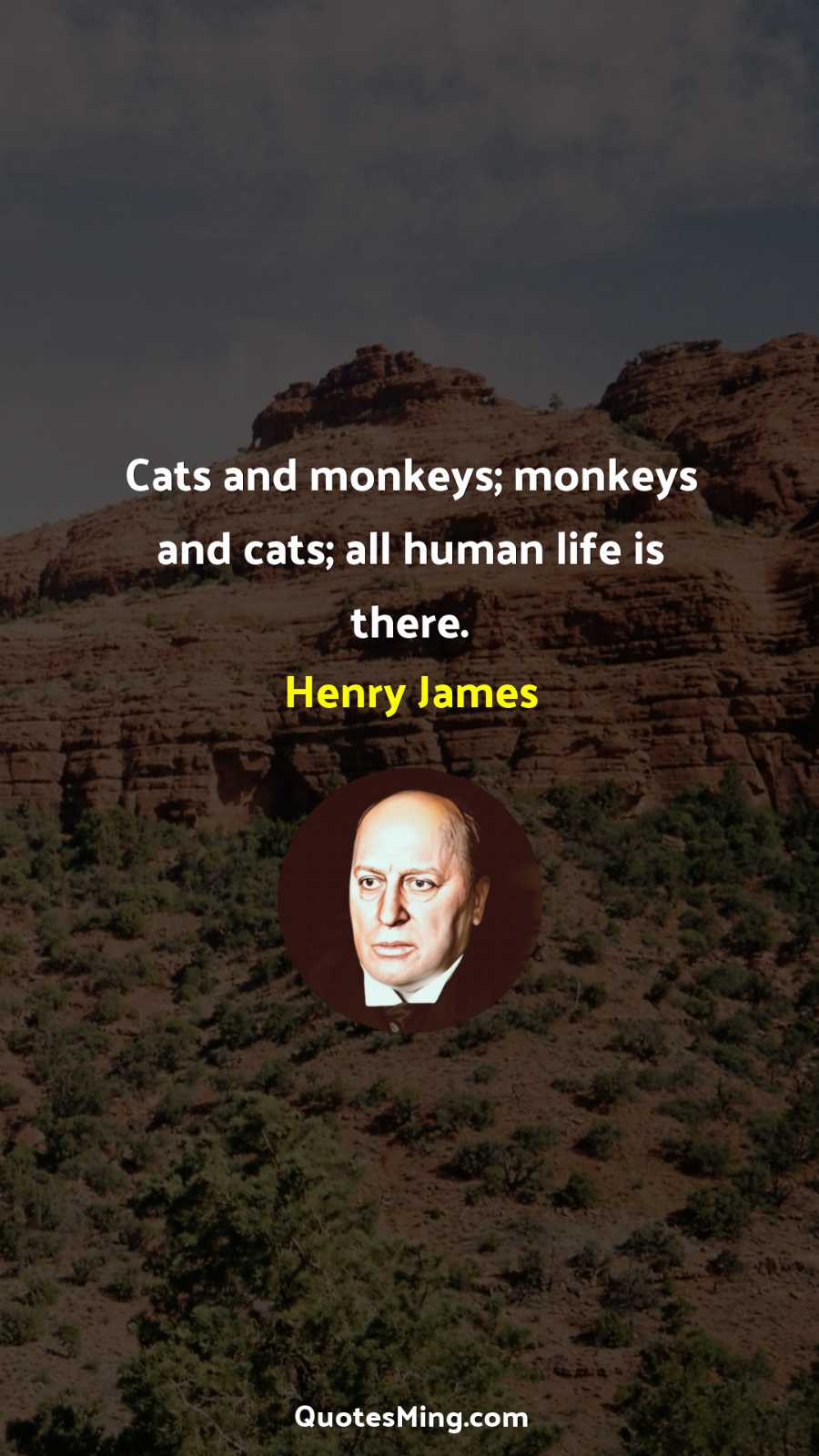 Cats and monkeys; monkeys and cats; all human life is