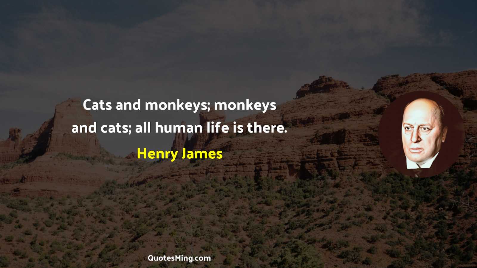 Cats and monkeys; monkeys and cats; all human life is