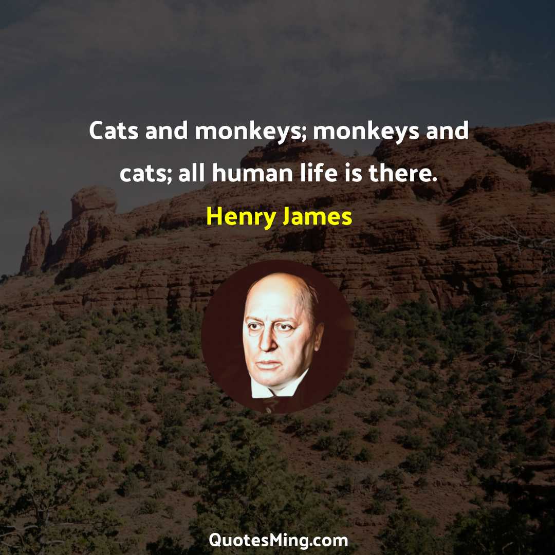 Cats and monkeys; monkeys and cats; all human life is