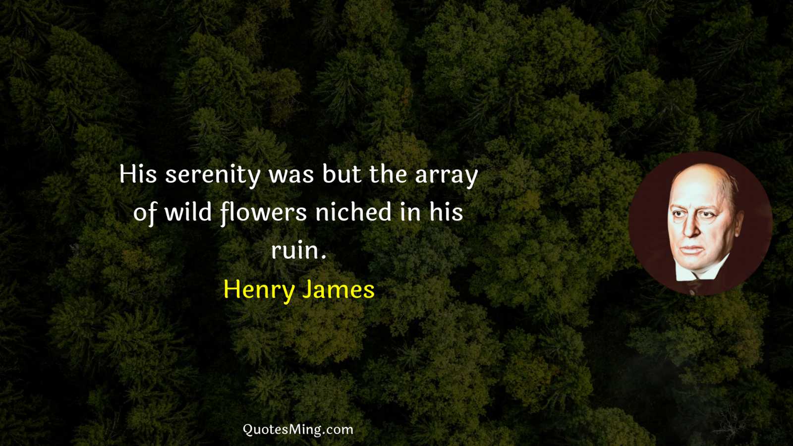 His serenity was but the array of wild flowers niched