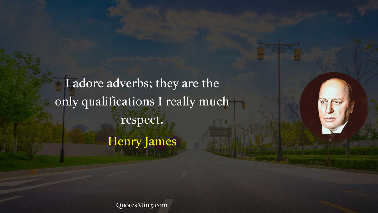 I adore adverbs; they are the only qualifications I really