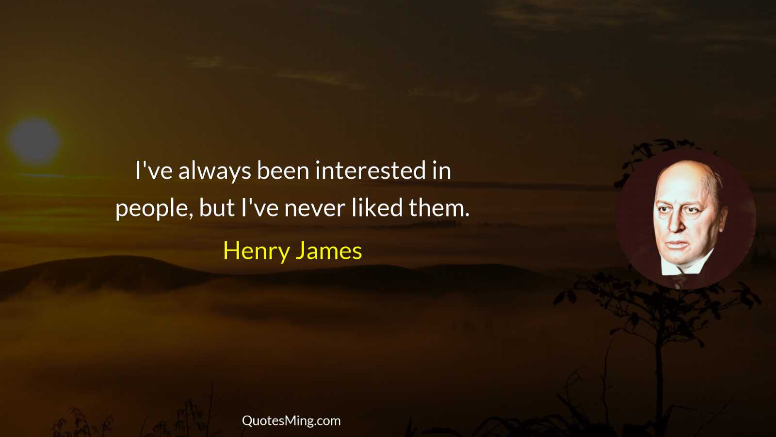 I've always been interested in people but I've never liked