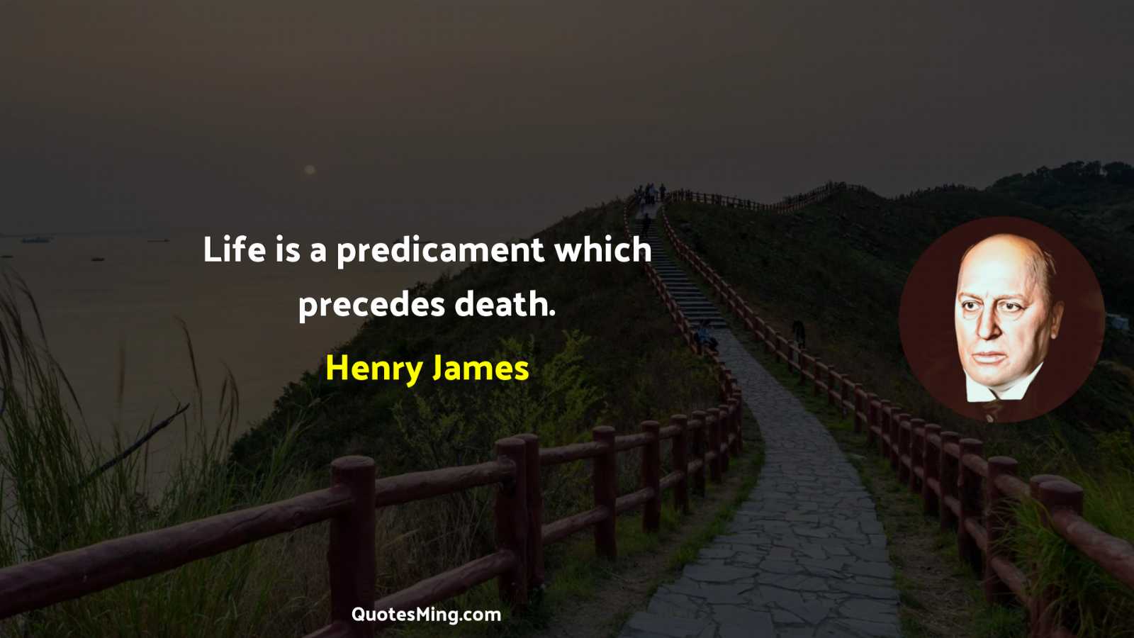 Life is a predicament which precedes death