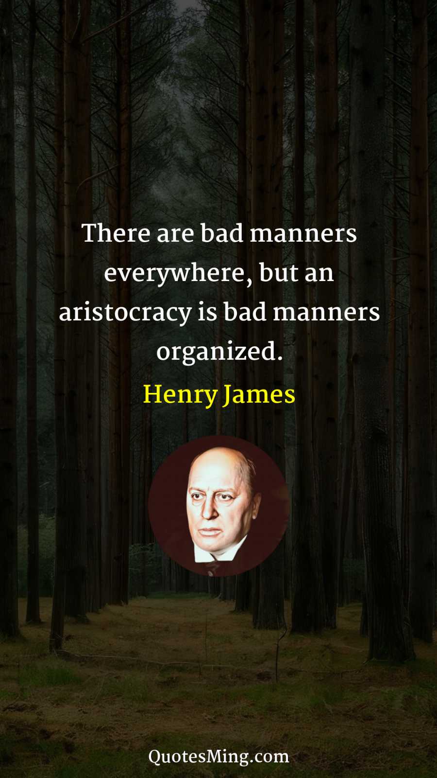 There are bad manners everywhere but an aristocracy is bad