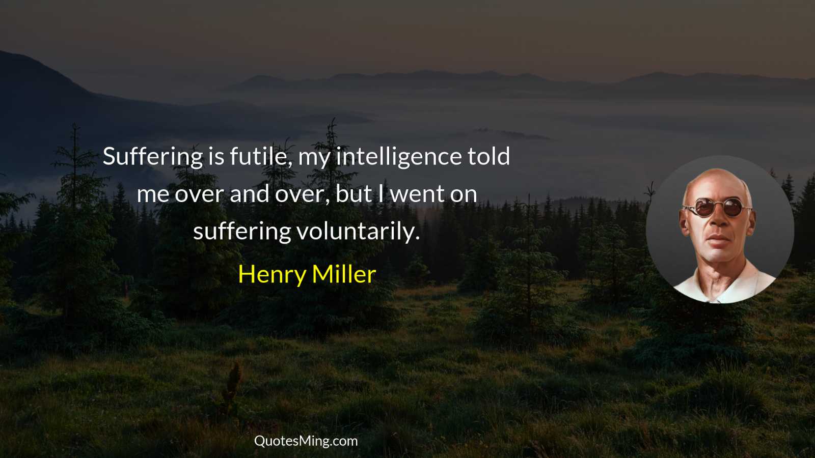 Suffering is futile my intelligence told me over and over