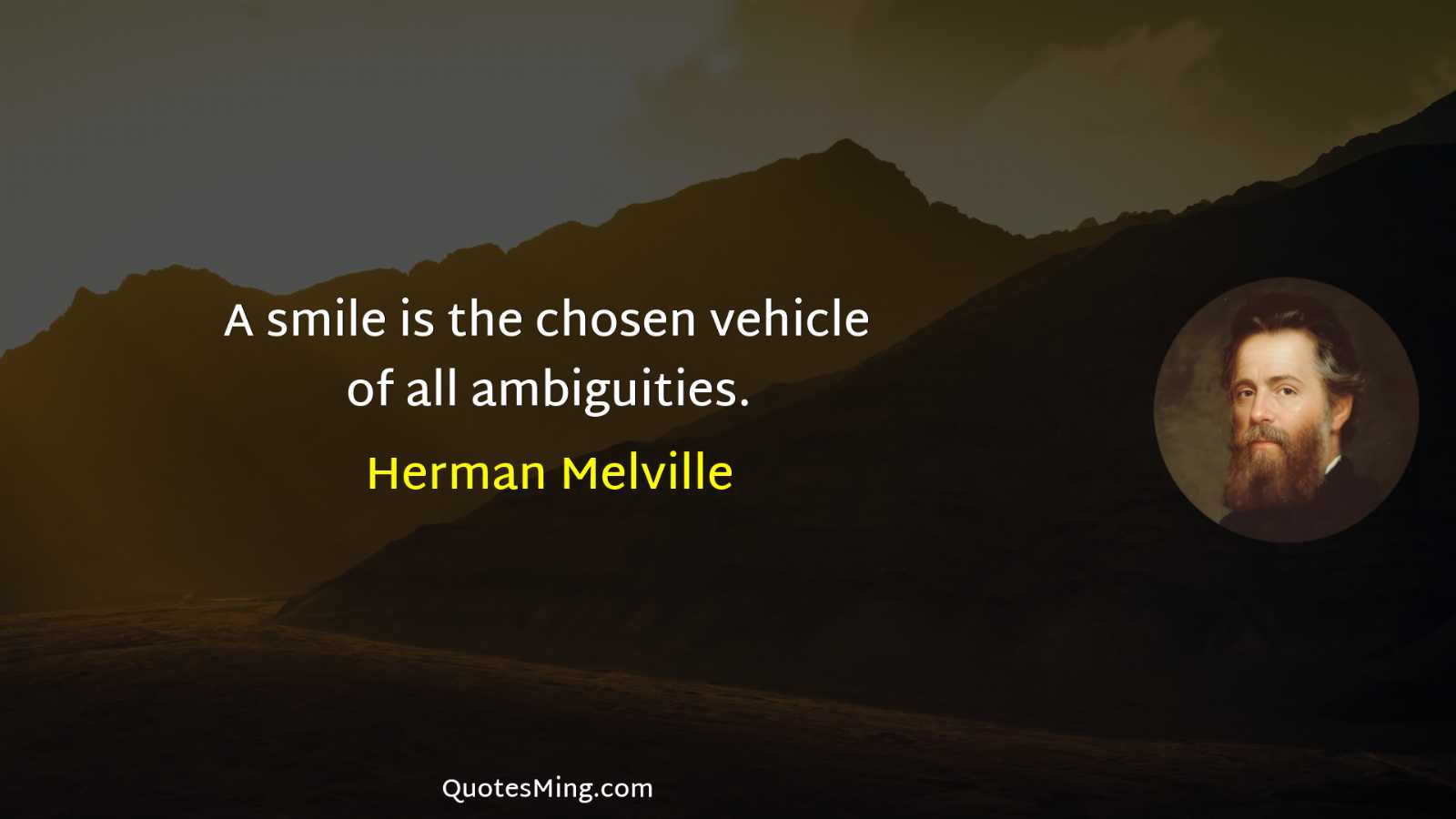 A smile is the chosen vehicle of all ambiguities