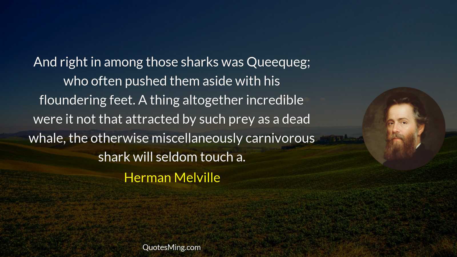 And right in among those sharks was Queequeg; who often