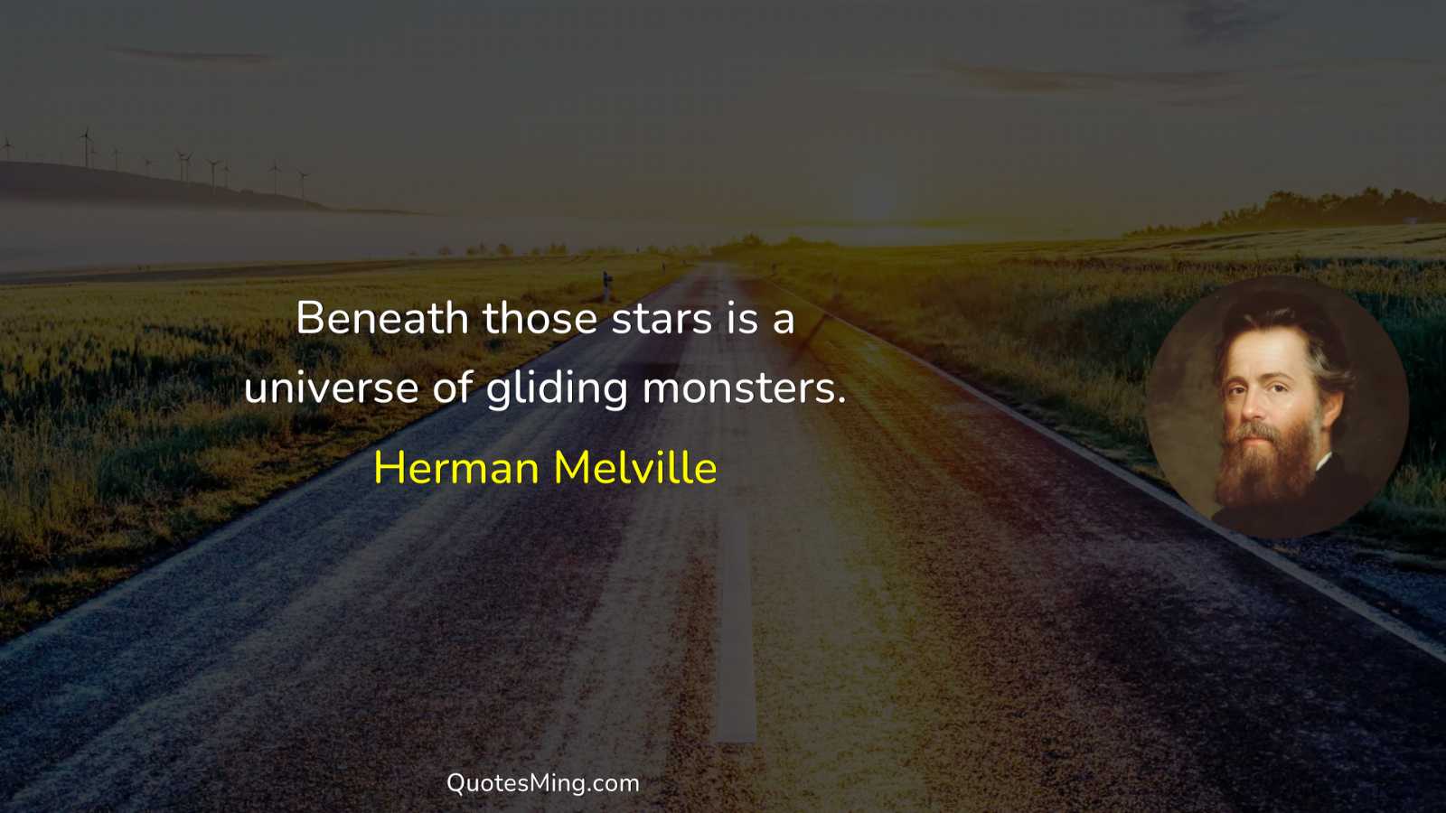 Beneath those stars is a universe of gliding monsters