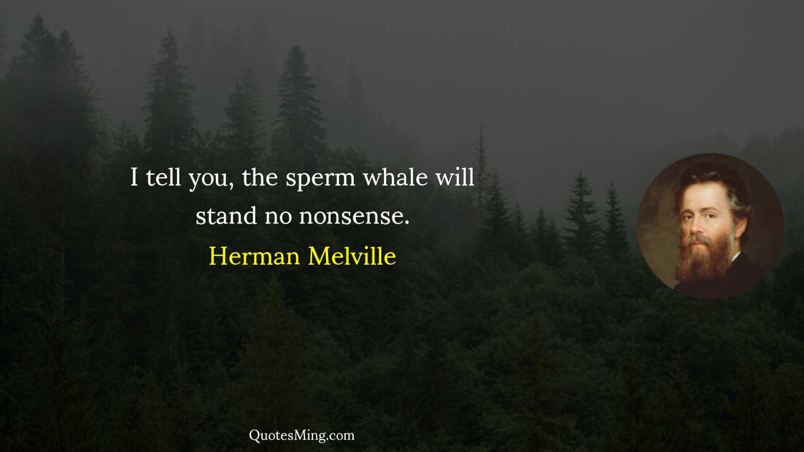 I tell you the sperm whale will stand no nonsense