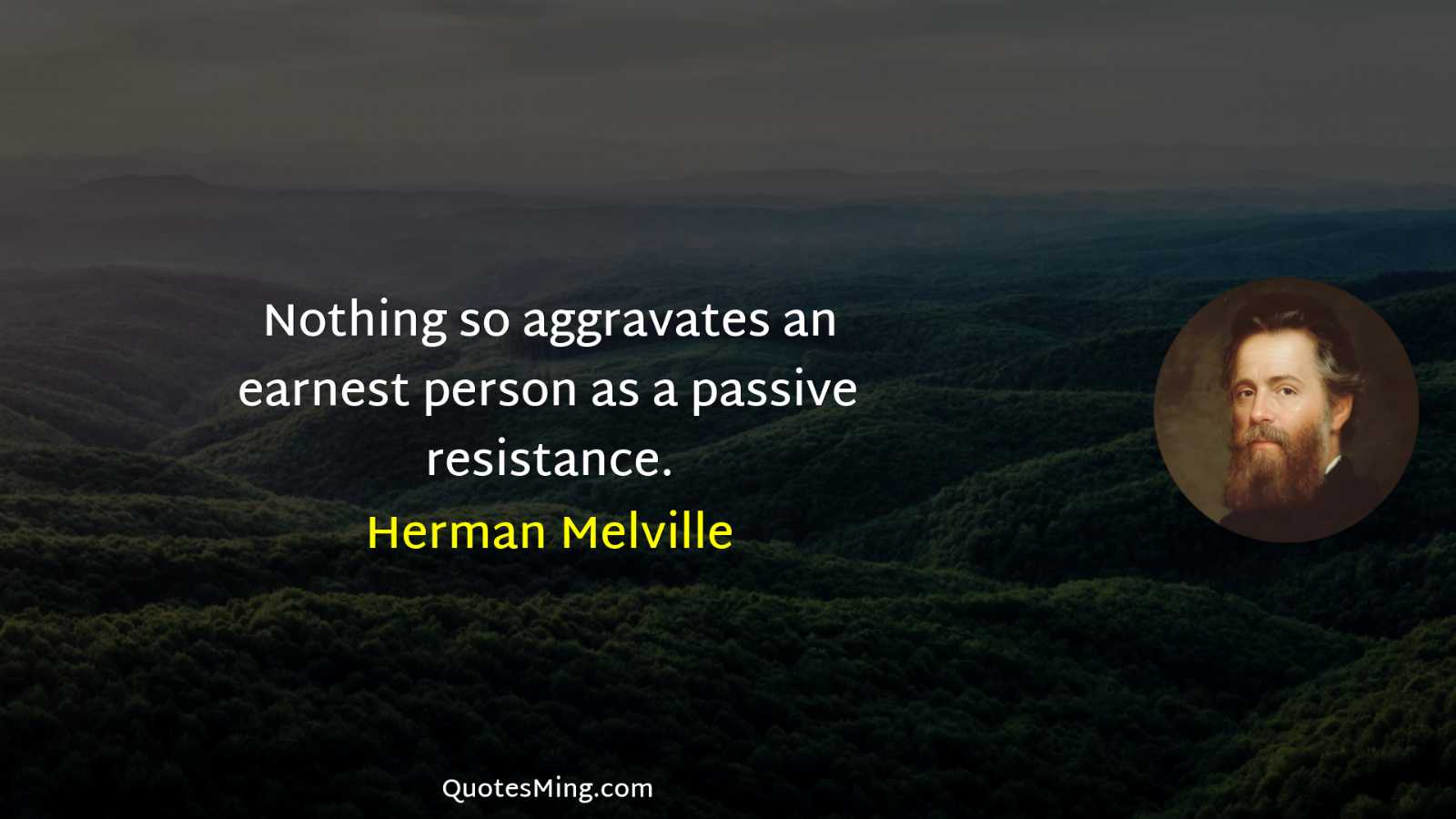 Nothing so aggravates an earnest person as a passive resistance