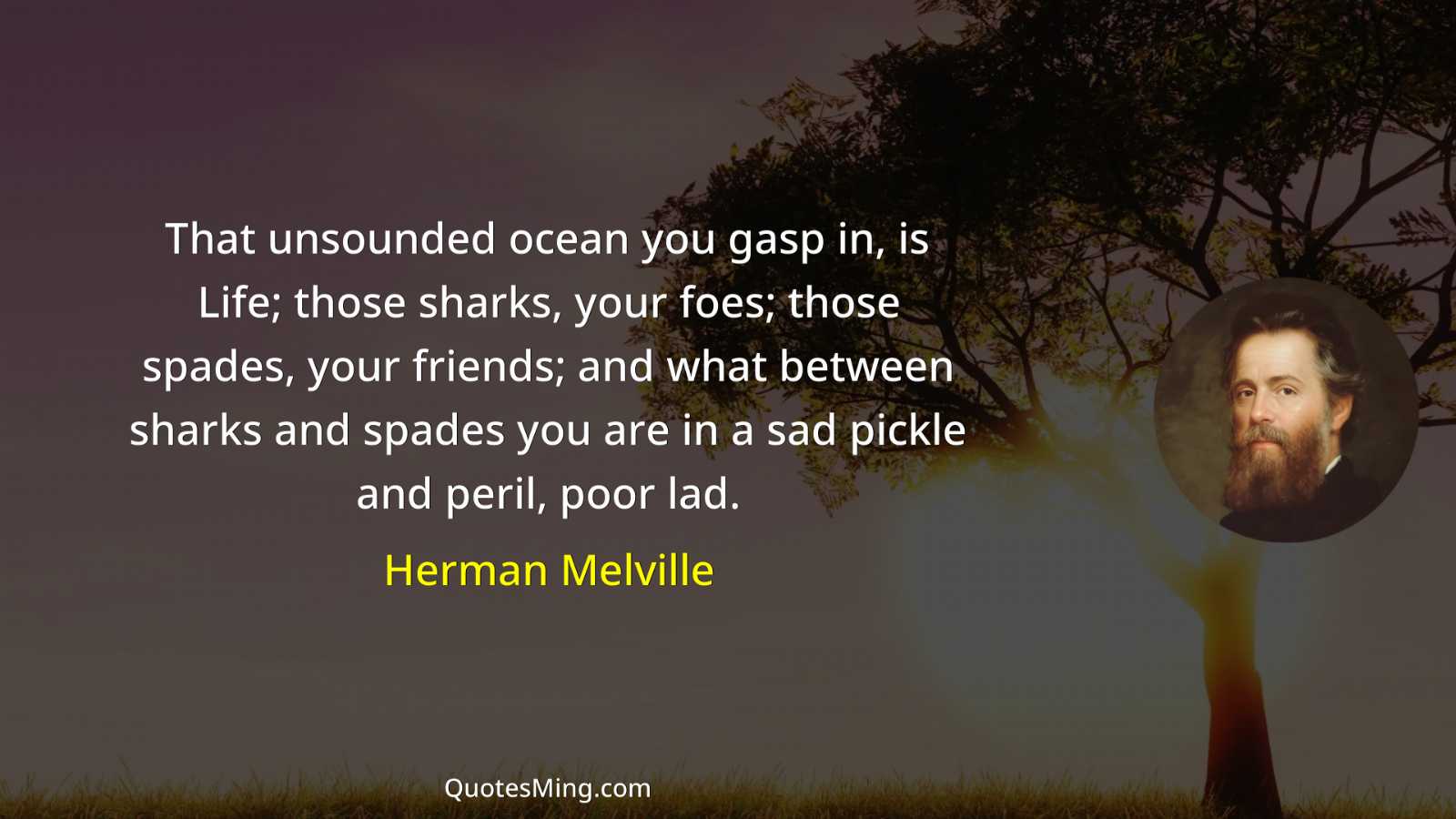 That unsounded ocean you gasp in is Life; those sharks