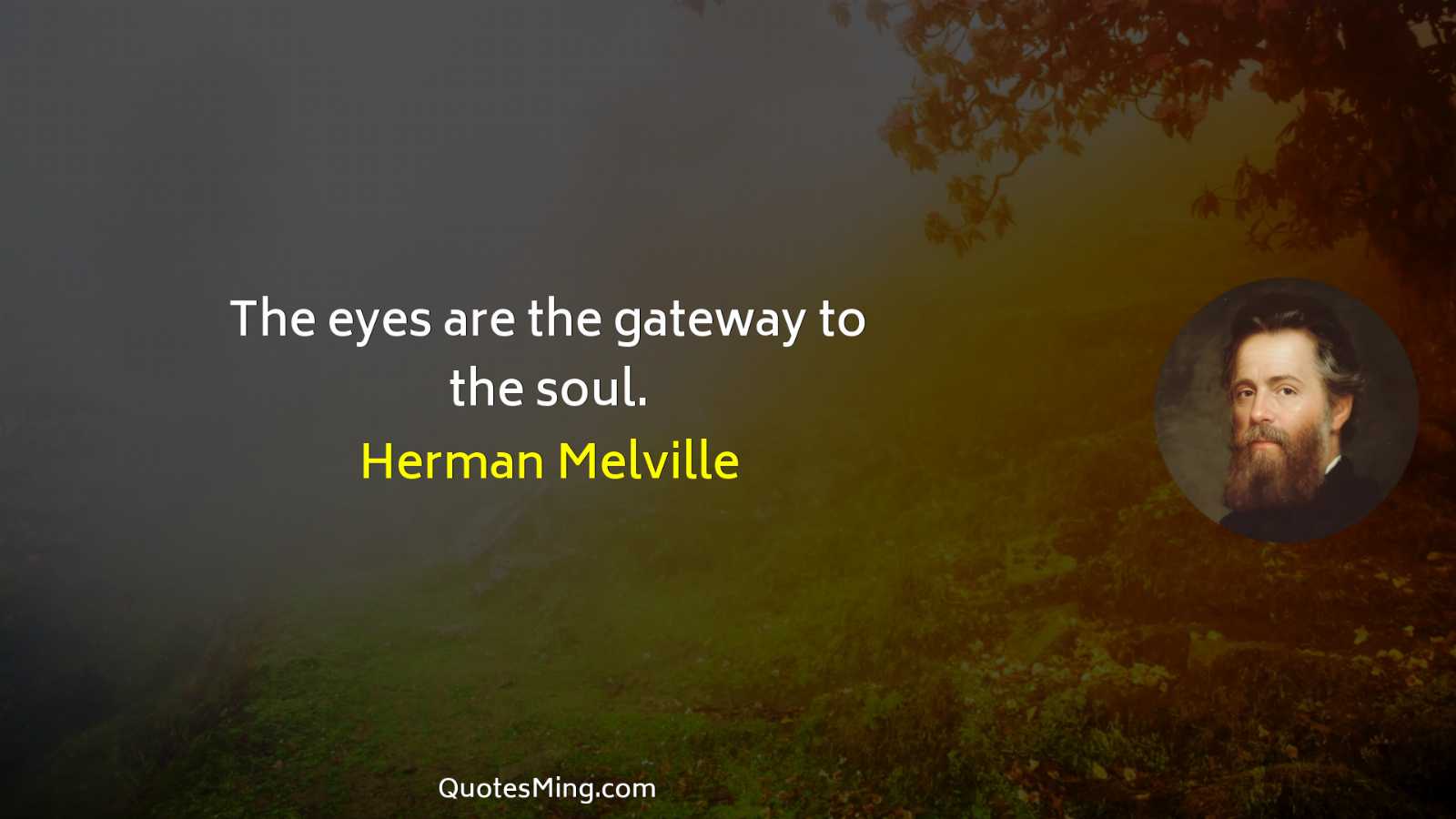 The eyes are the gateway to the soul