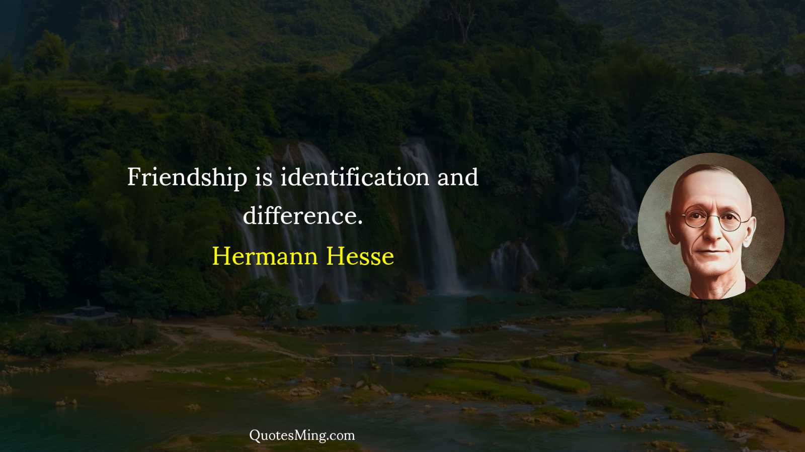 Friendship is identification and difference