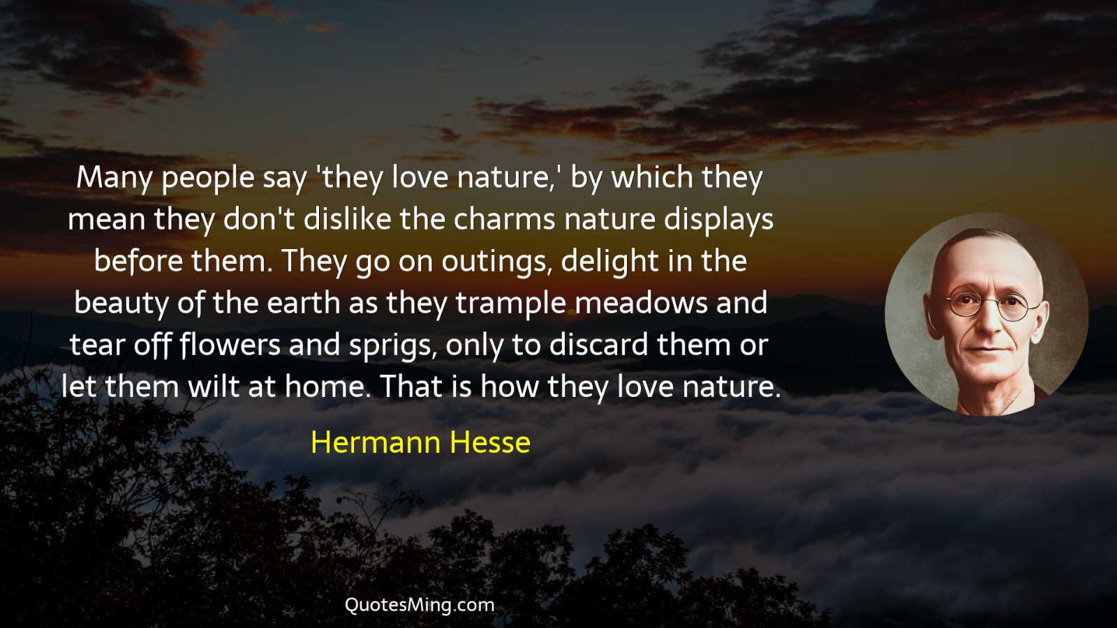 Many people say 'they love nature' by which they mean