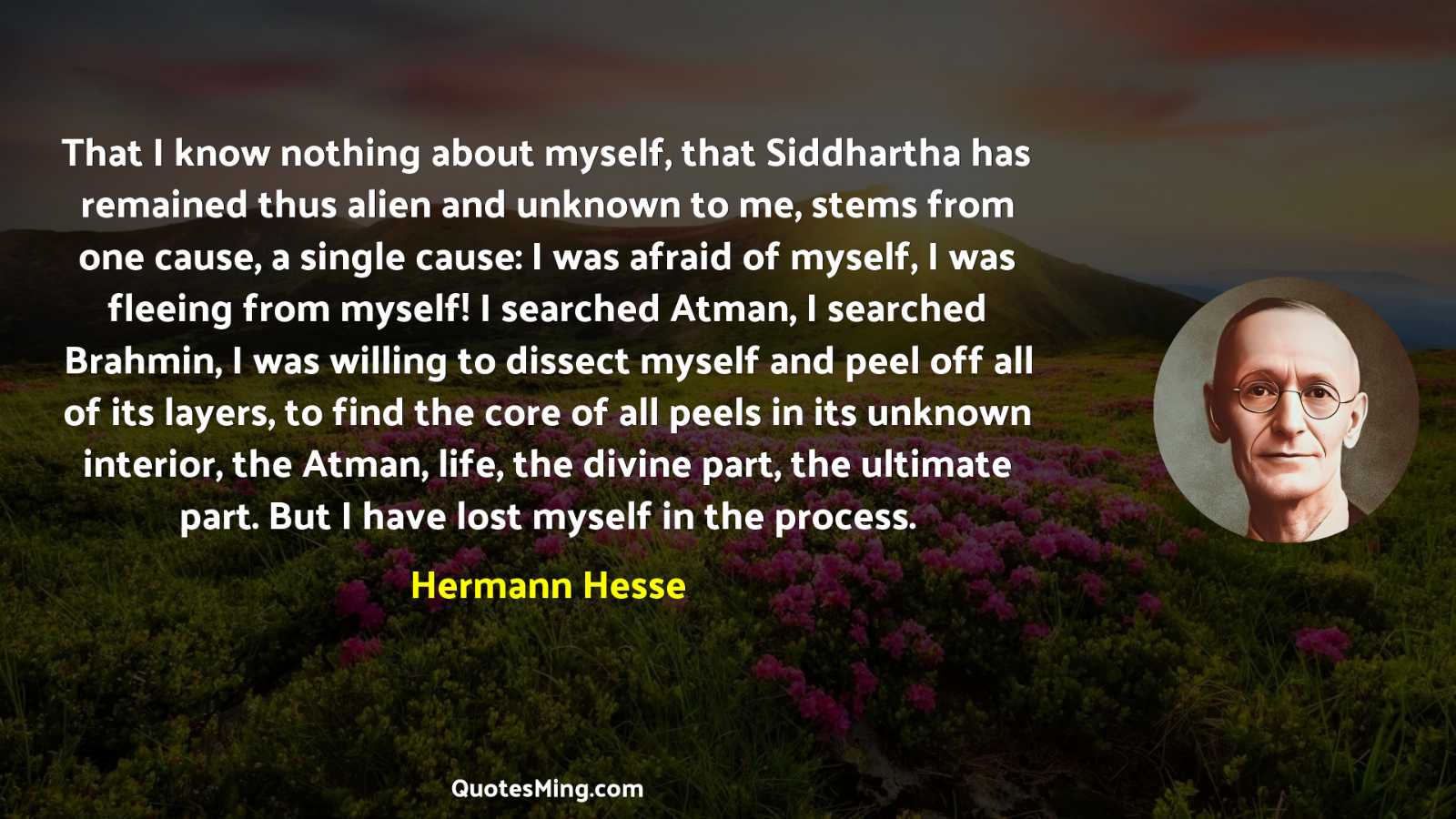 That I know nothing about myself that Siddhartha has remained