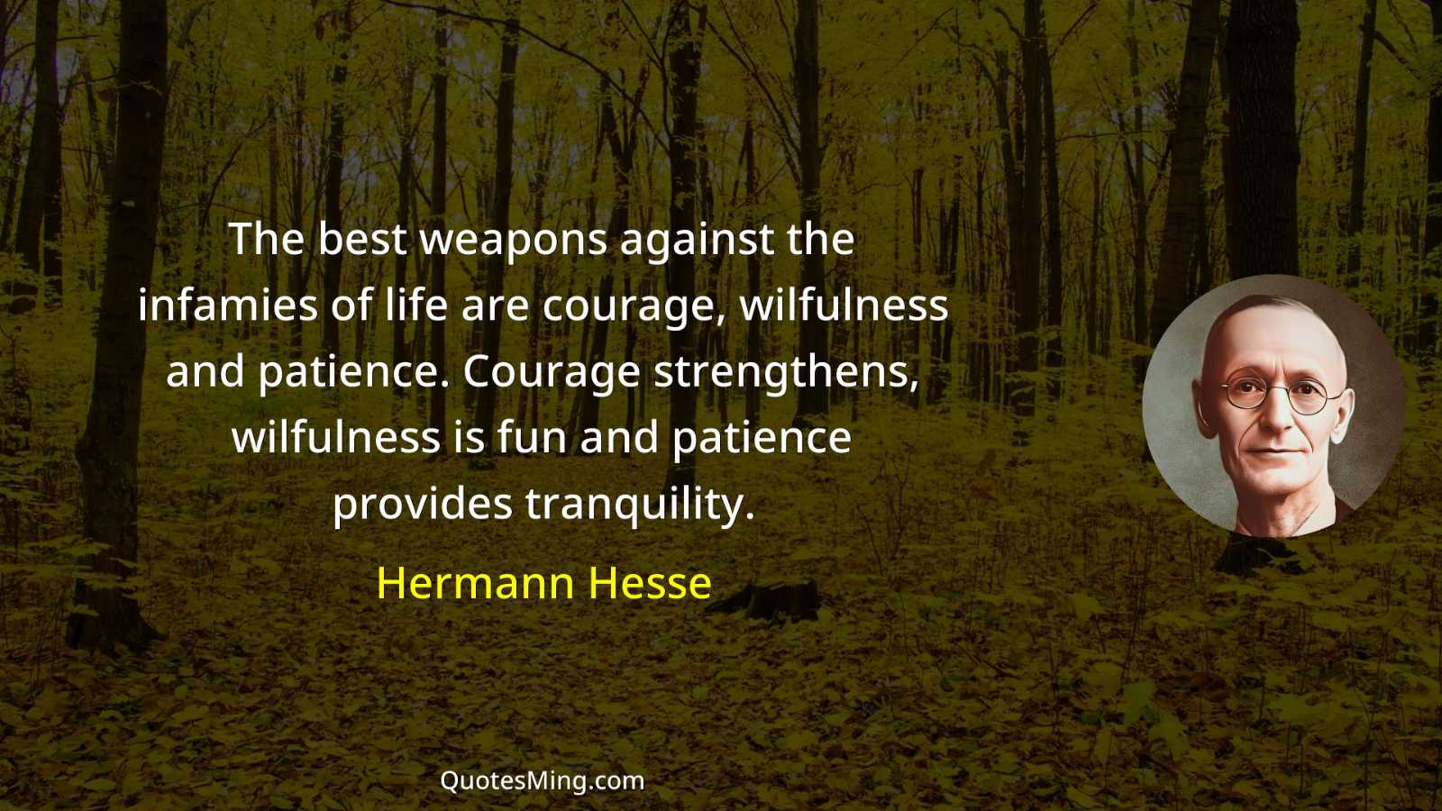 The best weapons against the infamies of life are courage