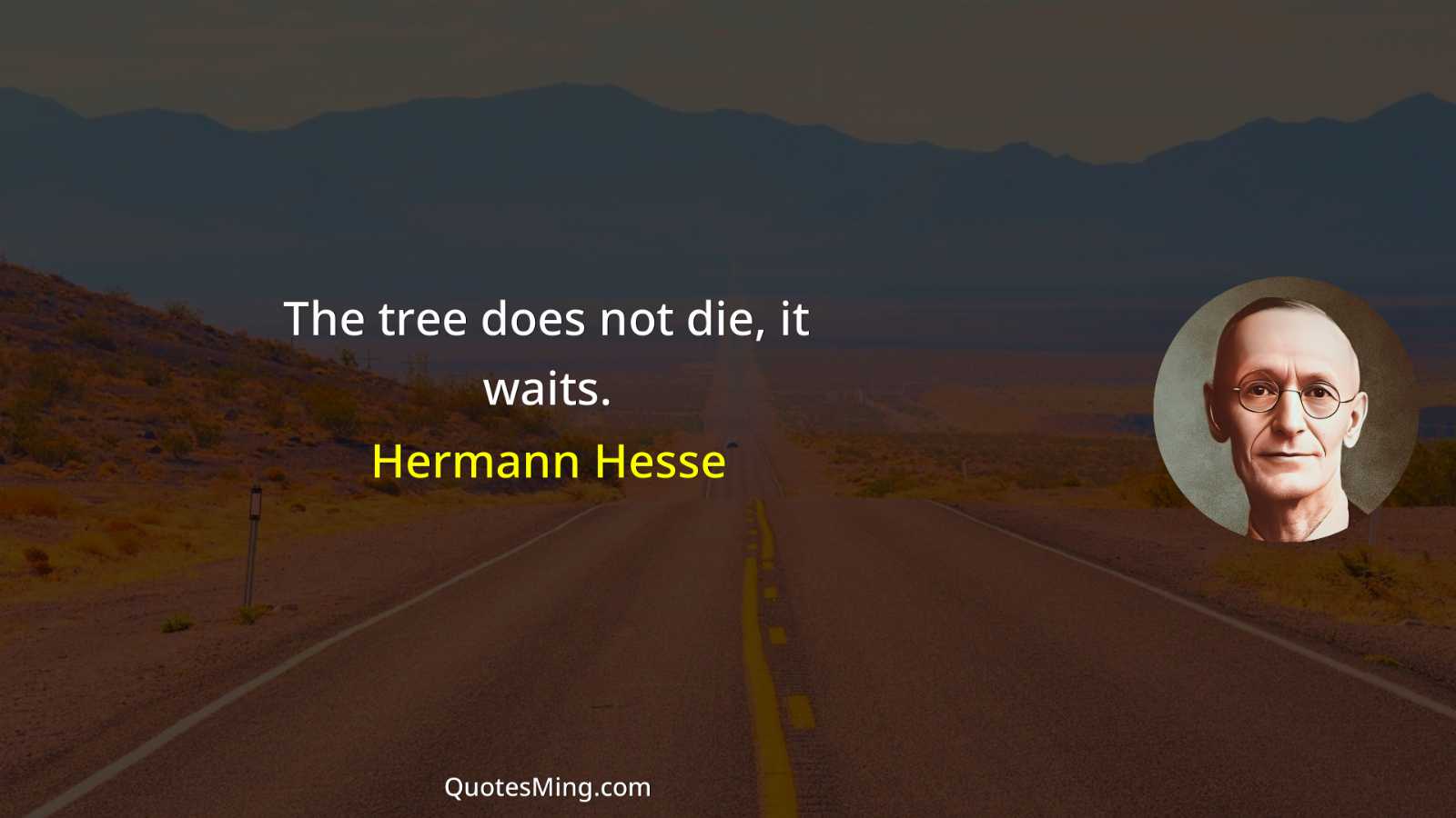 The tree does not die it waits