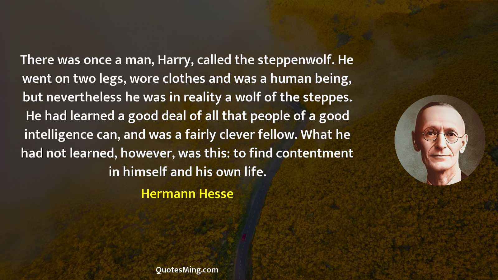 There was once a man Harry called the steppenwolf He