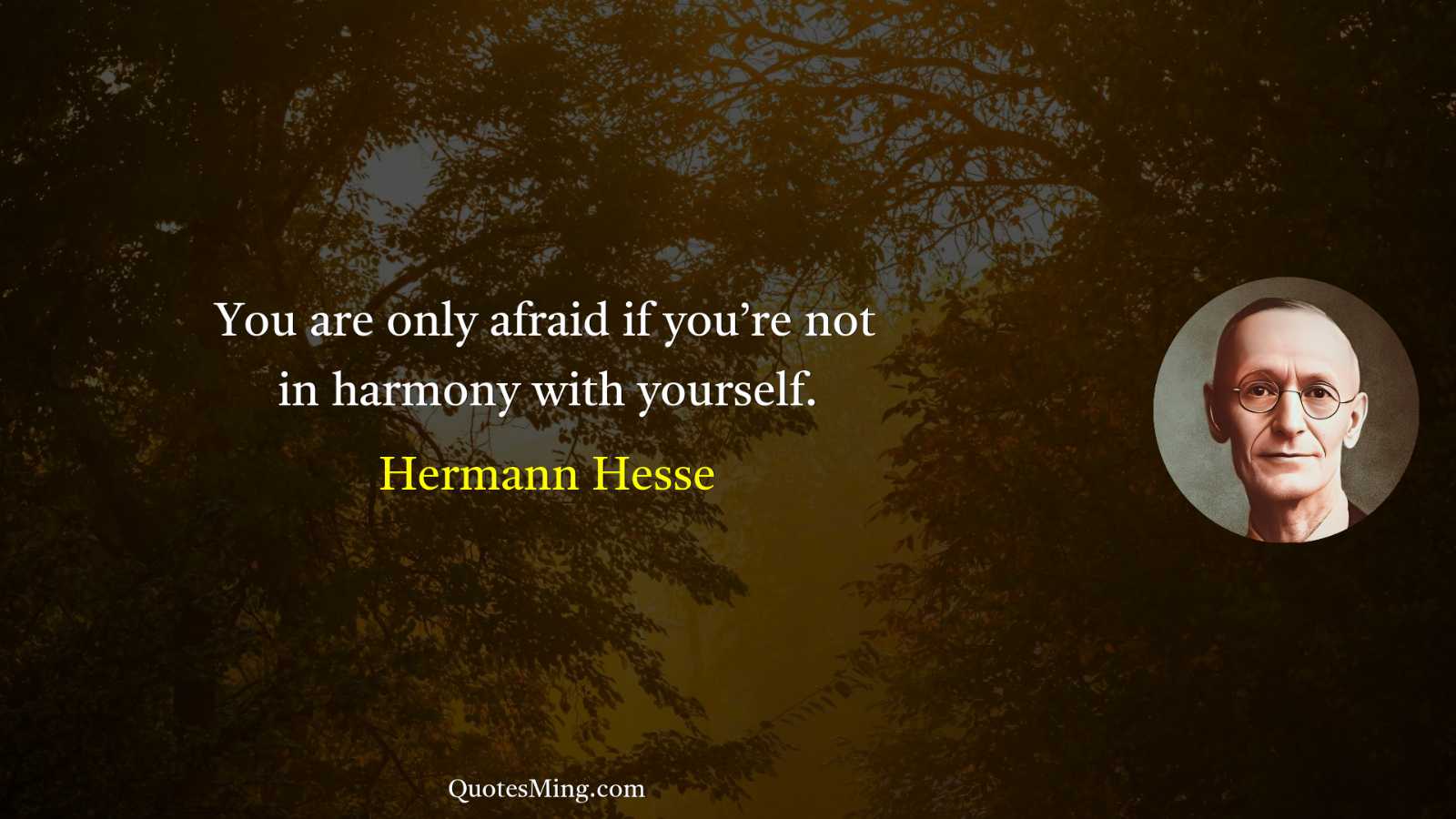 You are only afraid if you’re not in harmony with