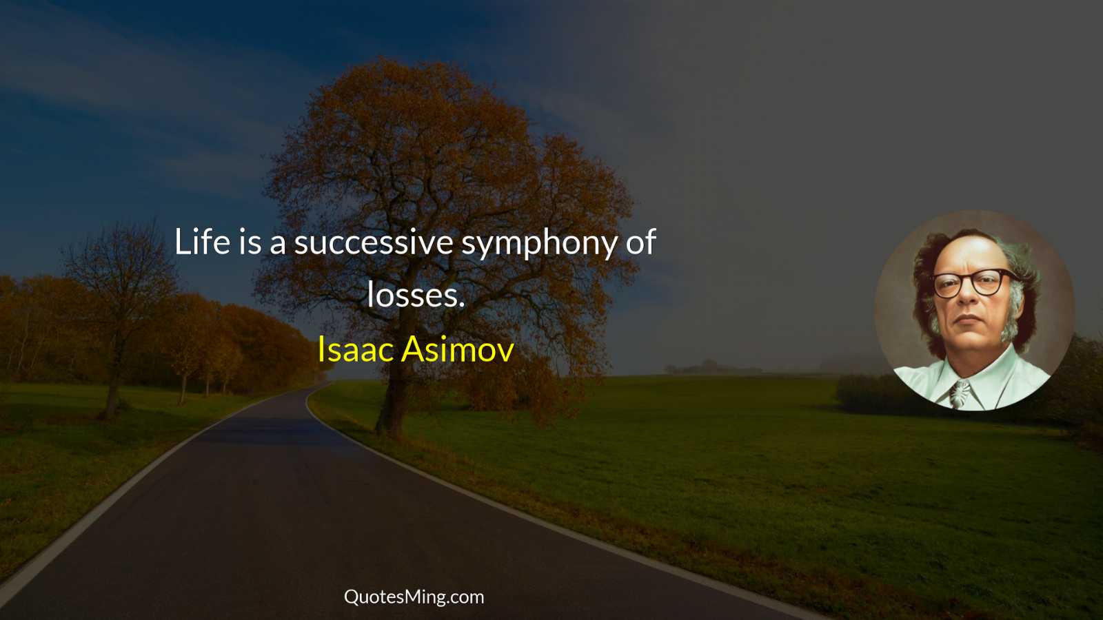 Life is a successive symphony of losses