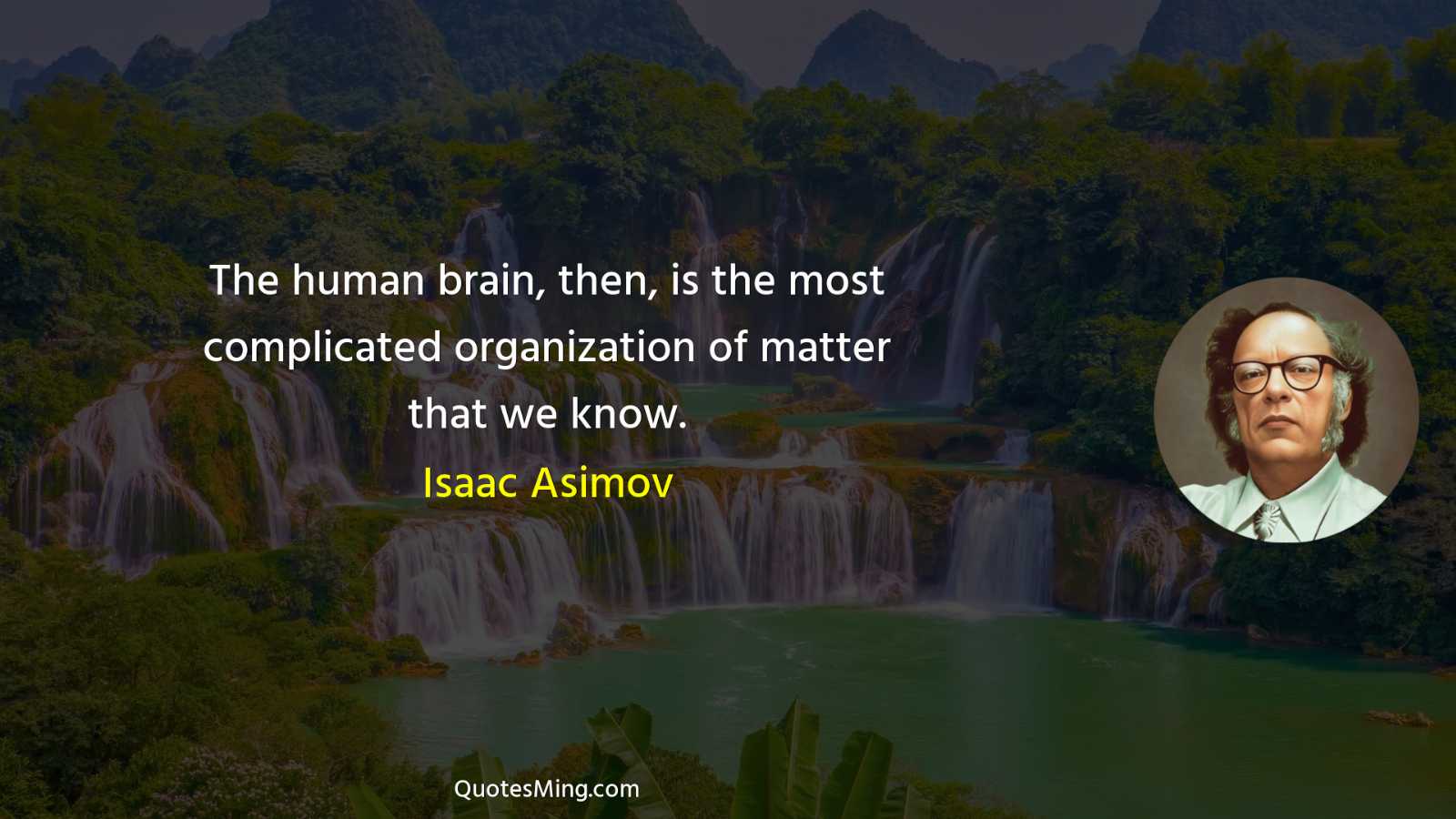 The human brain then is the most complicated organization of