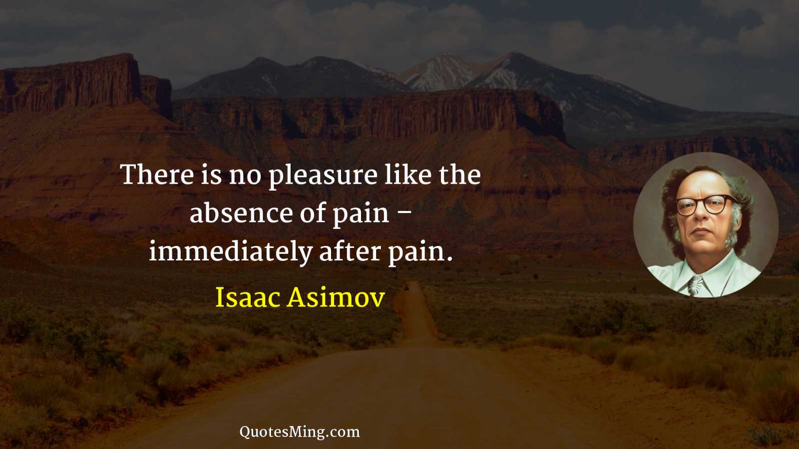 There is no pleasure like the absence of pain –