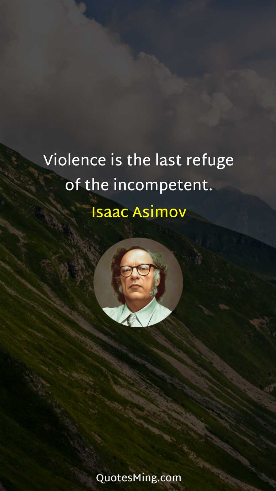 Violence is the last refuge of the incompetent