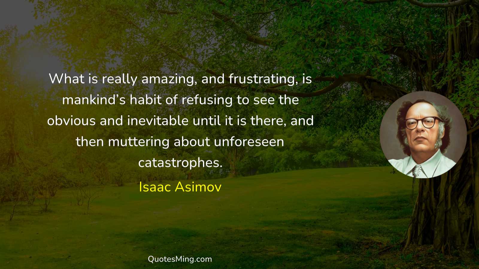 What is really amazing and frustrating is mankind’s habit of