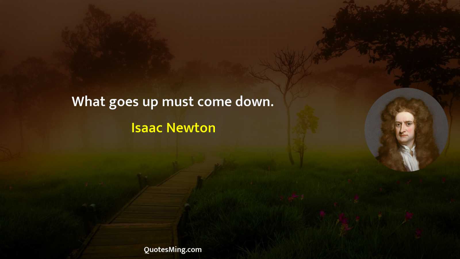 What goes up must come down