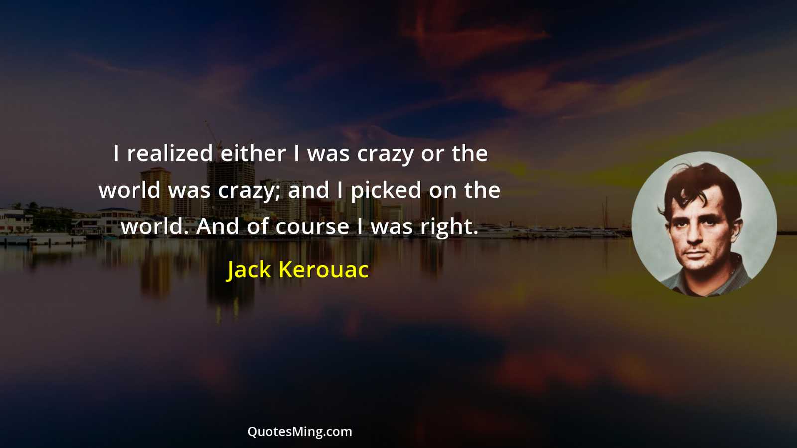 I realized either I was crazy or the world was